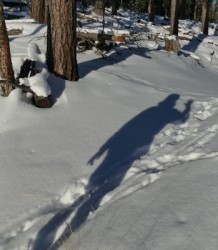 Lisa's shadow in the snow waving at you.
